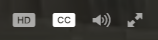 Video Controls with closed captions option enabled